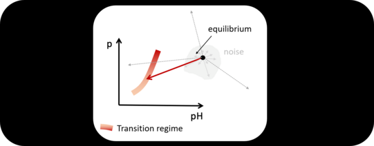 Sketch of pressure-pH phase diagram