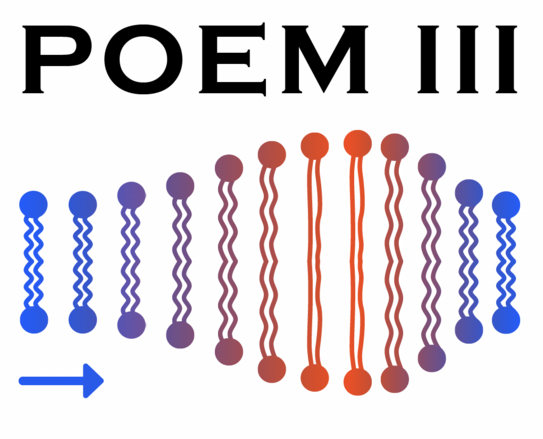 POEM III Logo Logo of the 3rd Workshop on the Physics of Excitable Media