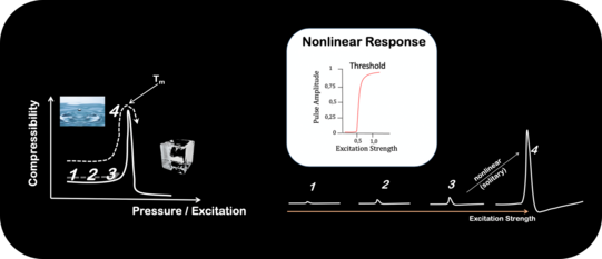 Evidence of Nonlinear Pulses
