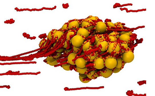 Schematische Darstellung eines (Bio-)Polymer-Kolloid-Verbundes