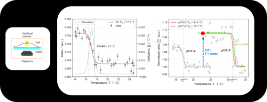 Measurements showing sharp transitions in living cells