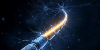 Animation of a nerve signal in shades of blue. The signal is illustrated by a yellow stripe and flashes.